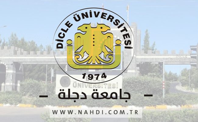جامعة دجلة
